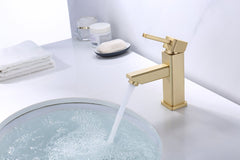 Legion Furniture UPC Faucet with Drain ZY6301-G