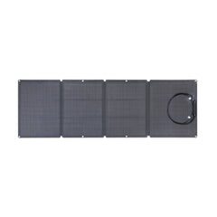 EcoFlow DELTA + 2x 110W Solar Panel